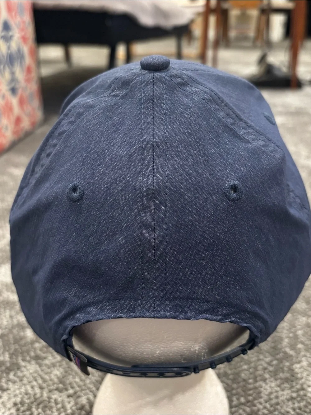 Patagonia Classic Mountain Logo Blue Adjustable OSFA Hat